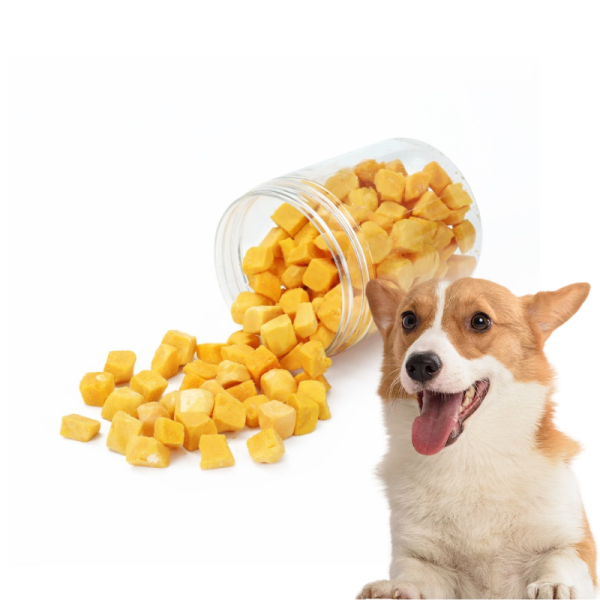 宠物零食供应商-代工厂家天然鸡鱼鸭肉丁