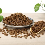 猫粮厂家-代工最优惠出口高蛋白全年龄段宠物食品