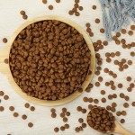 狗粮供应商-批发直供价有机牛肉味益生菌