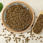 烘焙猫粮供应商-助消化易吸收酶解工艺