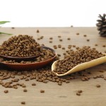 宠物食品供应商-代工中国批发科学配方鸡肉味