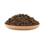 宠物食品供应商-高品质优惠价棕色种子干犬猫食品