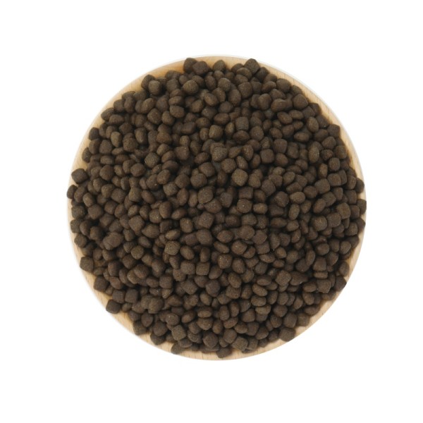 干宠物食品工厂-高品质实惠犬猫食品源头工厂