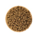 宠物零食供应商-优质天然定制干零食代工补充剂