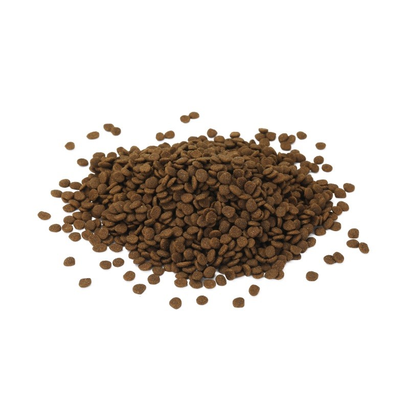 猫干粮工厂-热销高品质高蛋白肥猫食品