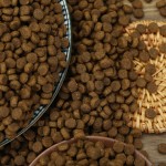 干猫粮供应商-代工贴牌15公斤批发中国供应商