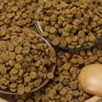 烘焙猫粮工厂-易吸收消化低温烘焙