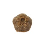 烘焙猫粮供应商-助消化易吸收酶解工艺