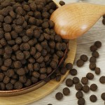 宠物食品工厂-批发高蛋白鸡鸭肉脱水干燥