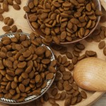 宠物食品厂家-代工贴牌中国低价海鱼三角形