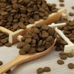 猫干粮工厂-热销高品质高蛋白肥猫食品