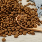 干宠物食品供应商-代工贴牌中国工厂热门鸡肉牛肉新鲜