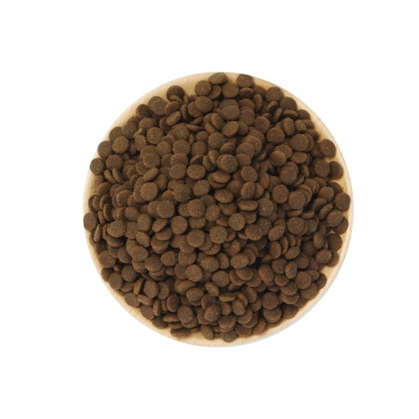 宠物食品供应商-高品质优惠价棕色种子干犬猫食品