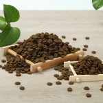 宠物食品供应商-高品质优惠价棕色种子干犬猫食品
