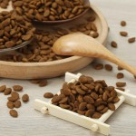 猫干粮工厂-代工贴牌工厂直供1kg 2.5kg 10kg无谷