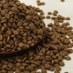 宠物零食工厂-代工贴牌有机冻干三文鱼库存肉