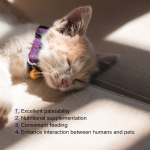 干狗粮生产厂家-满意天然批发批量