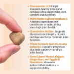 宠物营养品生产厂家-科学配方关节护理