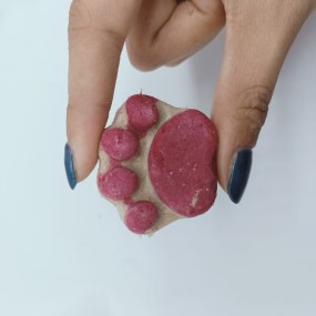 宠物零食工厂-冻干鸡肉消化脆零食