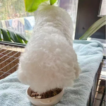 干狗粮工厂-100%天然无谷定制