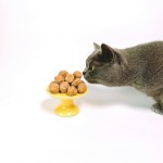 冻干零食供应商-混合口味批发ODM OEM