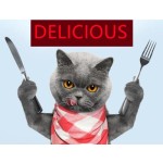 健康猫零食工厂-85克宠物零食狗猫零食犬用