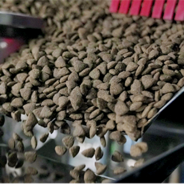 干狗粮生产厂家-定制品牌ODM成犬饮食