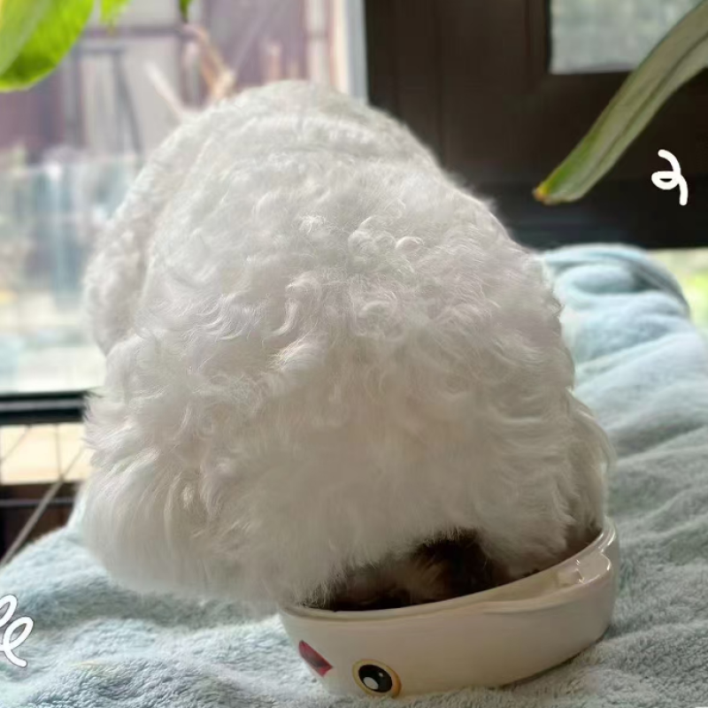 干狗粮供应商-100%天然ODM OEM无谷