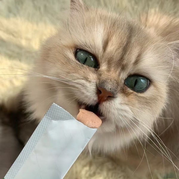 狗食品浇头供应商-真鸡肉金枪鱼牛肉袋装