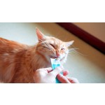 有机宠物棒工厂-猫鼻膏爪黄油 balm