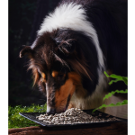 宠物零食生产厂家-ODM OEM无谷狗零食