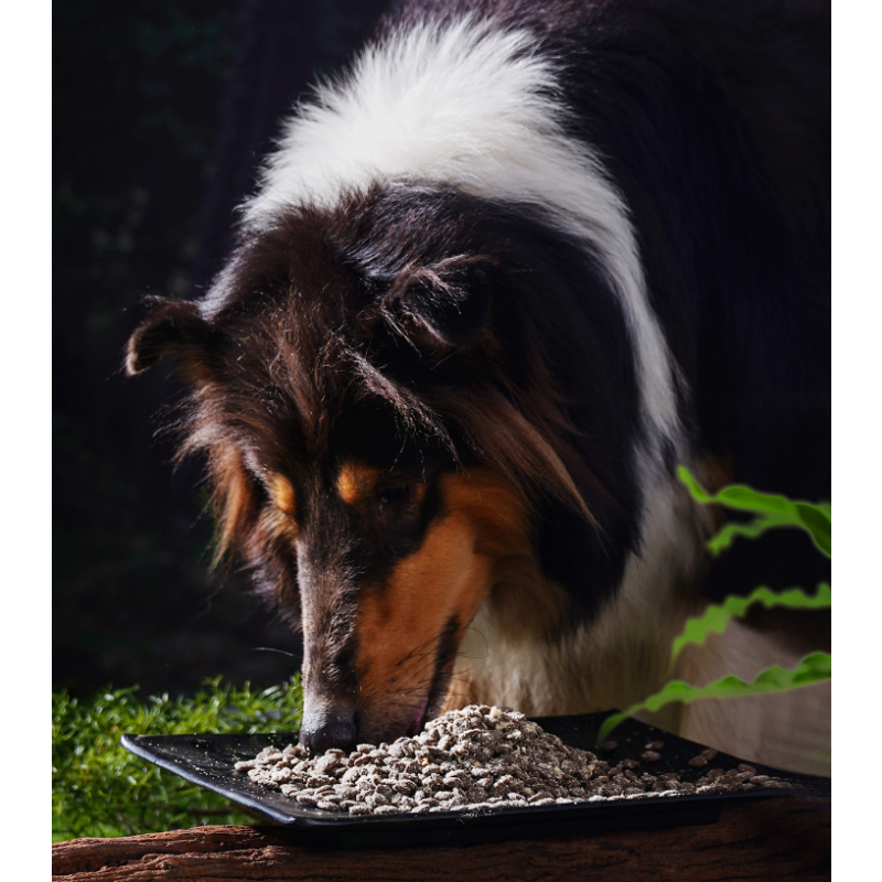 宠物零食生产厂家-ODM OEM无谷狗零食