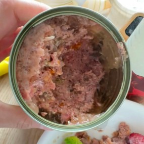 宠物零食供应商-15克挤压三文鱼鸡肉金枪鱼奶油