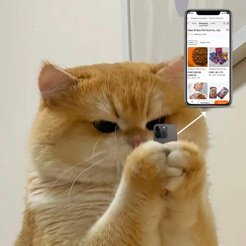 猫食生产厂家-OEM最便宜10公斤高蛋白