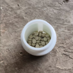 鸽子补充剂供应商-维生素治疗痘切传染