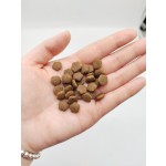 猫食生产厂家-OEM最便宜10公斤高蛋白