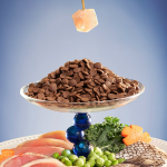 宠物食品生产厂家-OEM批发可定制多种口味