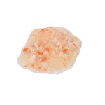 宠物零食厂家-品质保障Ishtar品牌新鲜包装猫零食