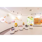 干宠物食品供应商-中国工厂批发批量干猫食品高蛋白