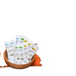 宠物食品厂家-工厂批发美味猫零食营养湿粮