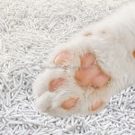 豆腐猫砂厂家-工厂直营个性化袋装混合口味