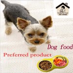 宠物食品厂家-贴牌代工鸟鱼仓鼠高蛋白黄粉虫