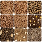 宠物零食供应商-零食和健康宠物产品犬食品犬零食制造