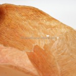 犬零食厂家-代工犬咀嚼零食安全健康宠物零食洁牙