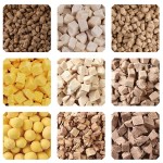 干犬食品厂家-代工高蛋白无谷鲜肉20公斤成犬