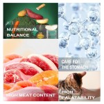 干犬食品厂家-代工高蛋白无谷鲜肉20公斤成犬