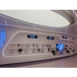 Cat Food Supplier - Pet Kitten Into Cat Food Chicken Natural Fresh Meat Frozen