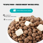 宠物食品供应商-中国工厂批发猫犬宠物零食全价干粮