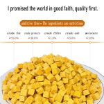 冻干猫食品供应商-生骨肉冻干猫零食鸡肉营养