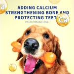 干狗粮工厂-OEM ODM活力老年犬低过敏